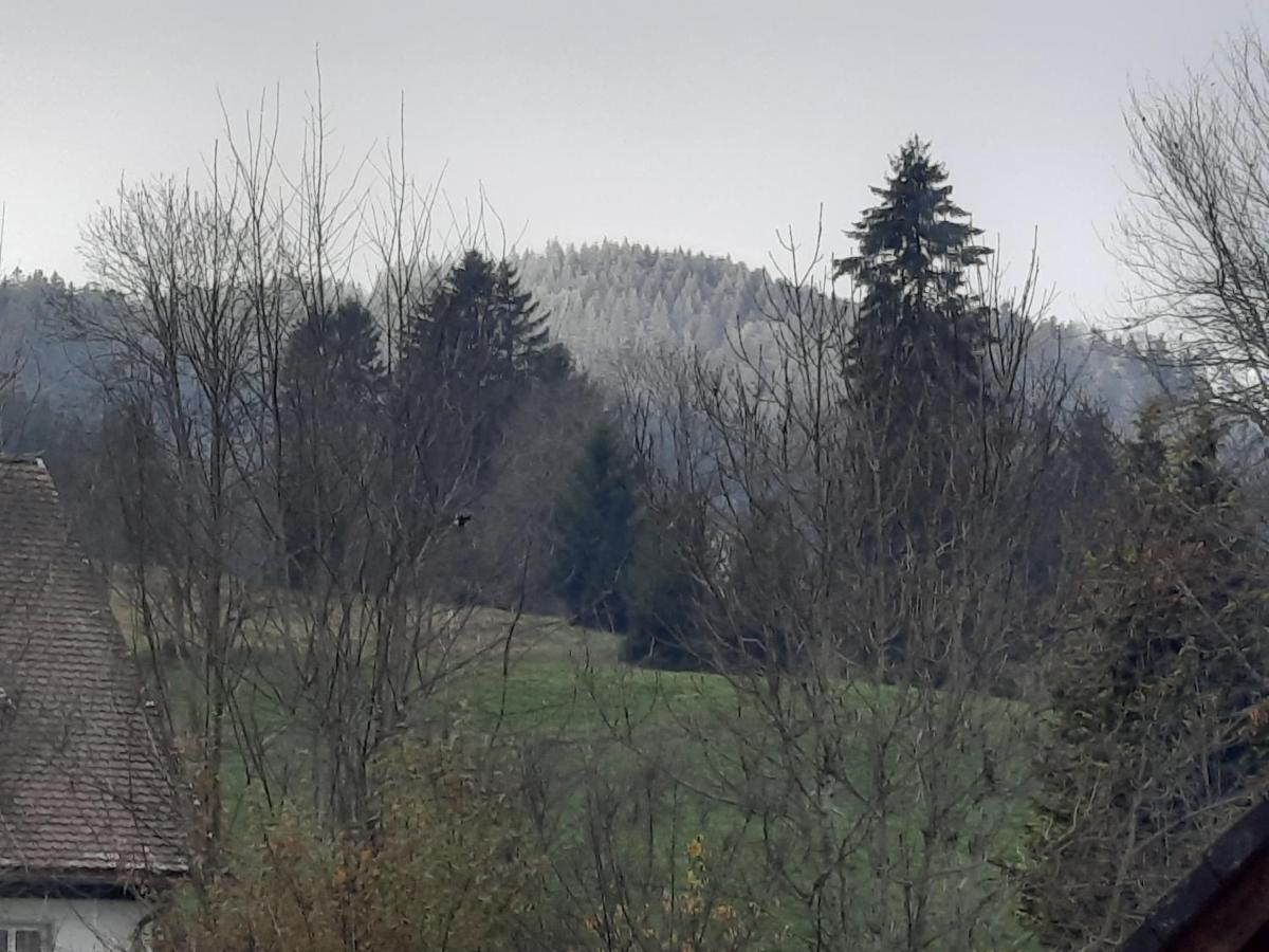 Ferienhaus Ketterer Hinterzarten Luaran gambar